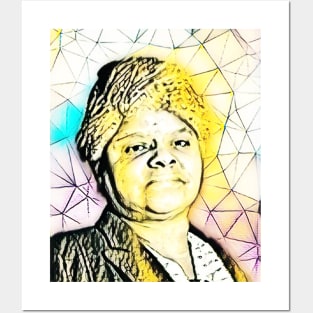 Ida B Wells Portrait | Ida B Wells artwork 2 Posters and Art